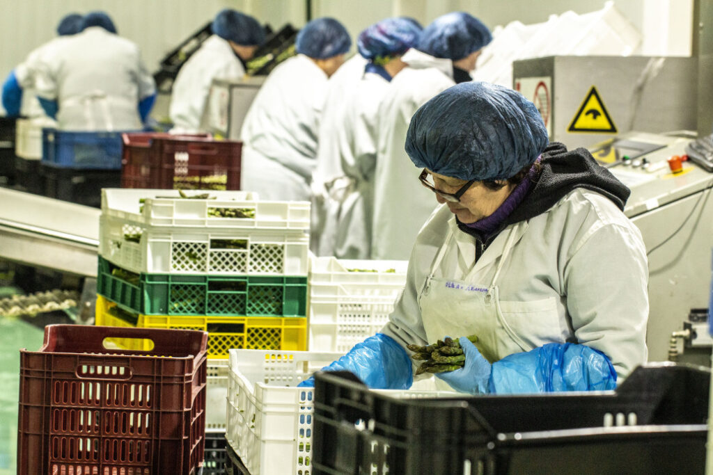 Termómetro Laboral destacó sostenida recuperación del empleo en la Región del Maule 1 bd0166e5 empleo desempleo diario talca