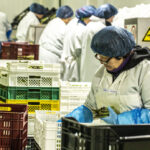 bd0166e5 empleo desempleo diario talca