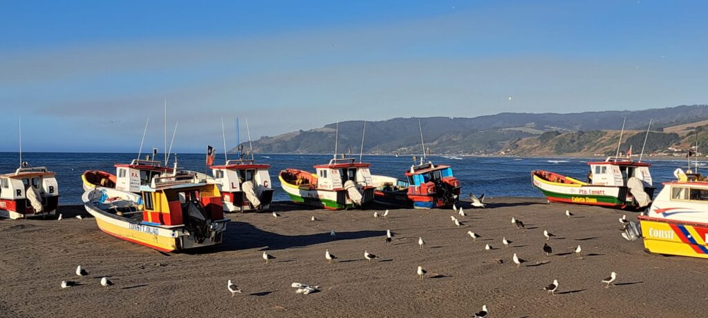 86a6bdc4 2acc 4437 9b11 d9b9acdebe23