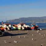 86a6bdc4 2acc 4437 9b11 d9b9acdebe23