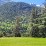 Copia de IMAGEN DESTACADA MEDIAINFO 23