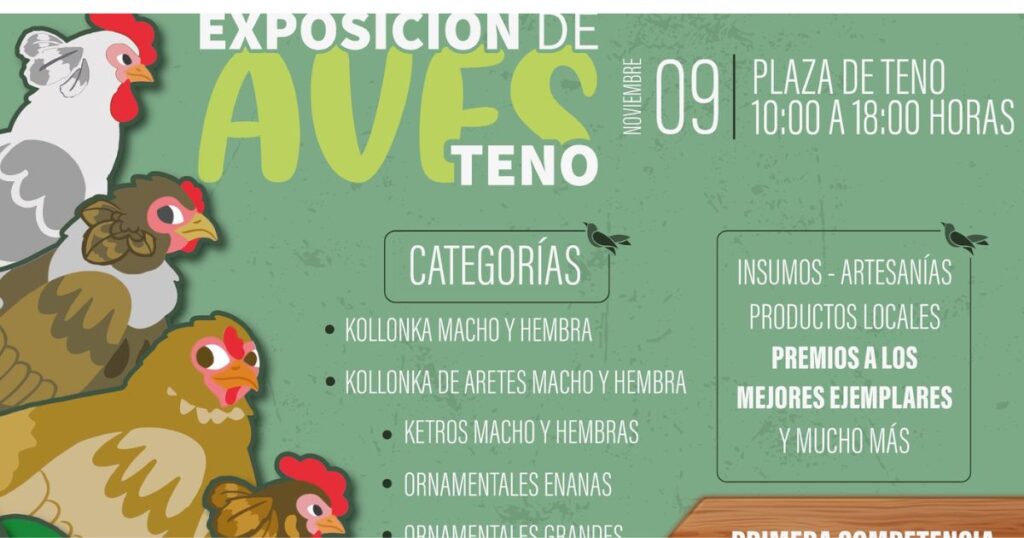 Teno Aves 1