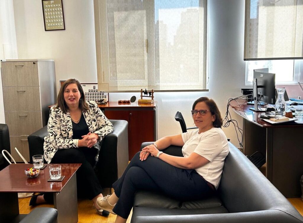 Senadora Vodanovic pidió a subsecretaria de Prevención del Delito priorización de Curicó y Molina en Plan Calle Sin Violencia 1 WhatsApp Image 2024 11 11 at 15.34.49