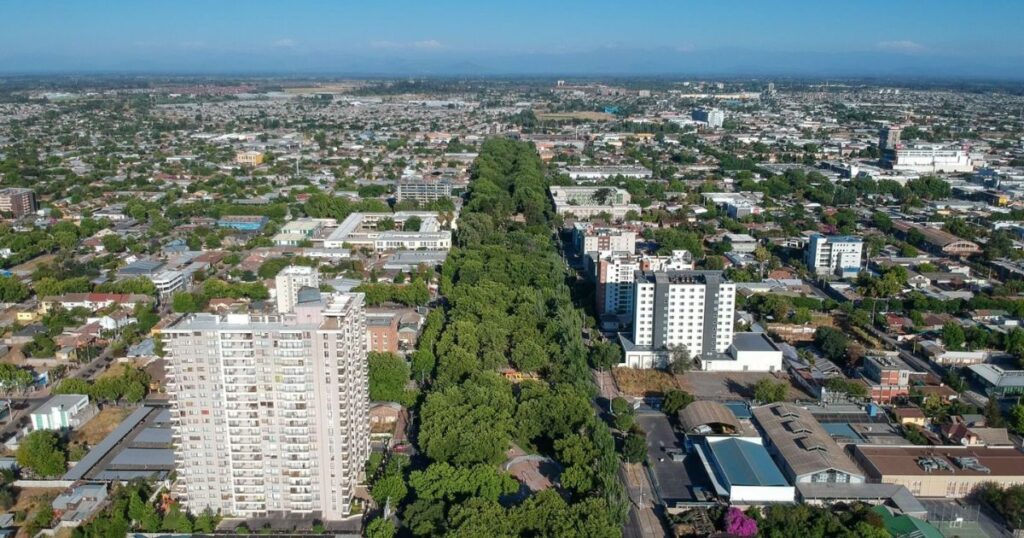 Alertan sobre aumento de alergias en Talca y proponen acciones concretas 1 Alergia Talca