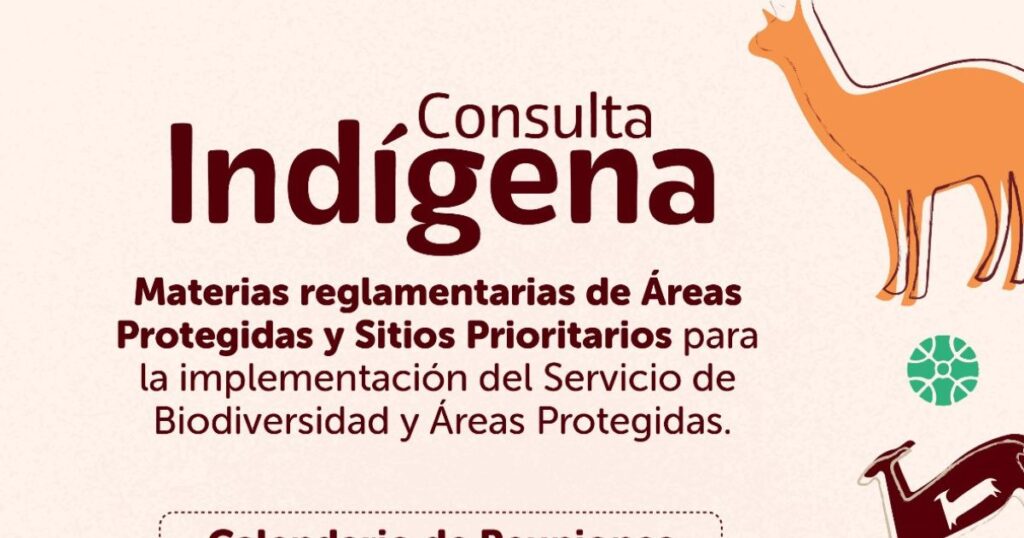 Gobierno convoca a participar en proceso de Consulta indígena por regulación en áreas protegidas y sitios prioritarios de la región del Maule 1 Consulta indigena