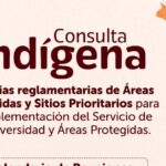 Consulta indigena