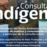 Copia de IMAGEN DESTACADA MEDIAINFO 29