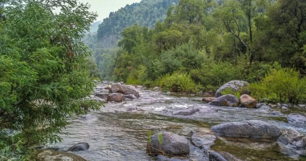 Curicó: Encuentran sin vida a hombre extraviado en Potrero Grande, investigan las causas de su fallecimiento 1 Potrero Grande