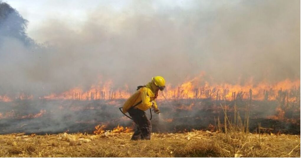 Director de Senapred Maule entrega balance de incendios forestales durante el feriado navideño 1 San Javier 2