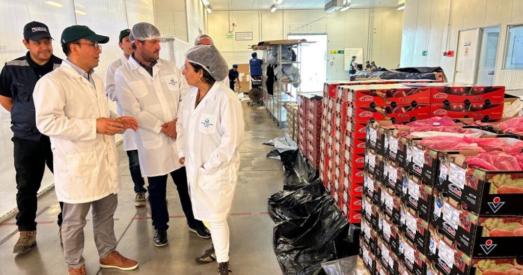 Para el envío de fruta fresca al mercado norteamericano: Autoridades verifican operatividad de Sitio Teno de Inspección Fitosanitaria 1 Sitio Teno