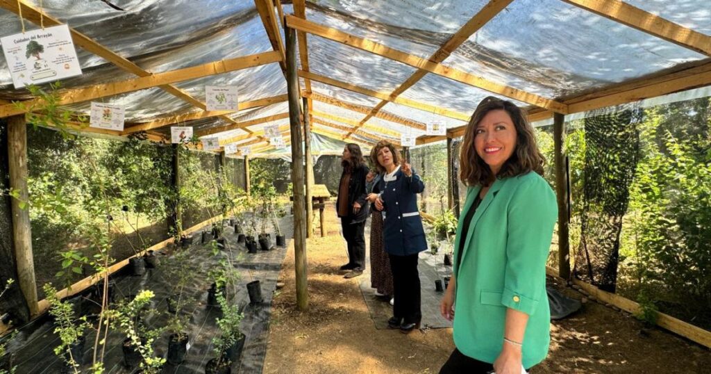 Seremi del Medio Ambiente anuncia proyectos del Fondo de Protección Ambiental adjudicados en la región del Maule 1 Ambiental