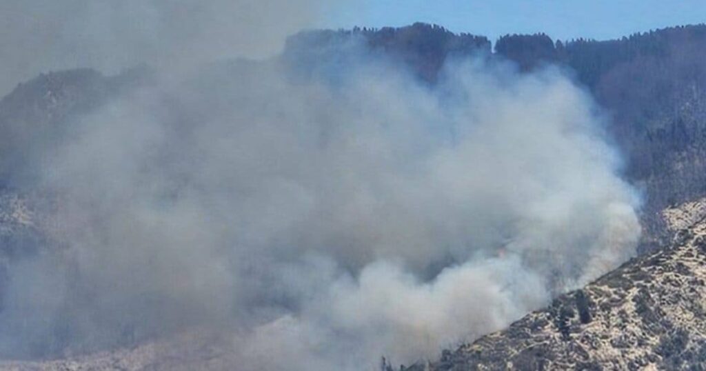 Imagen Huauquen