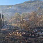 Incendio Rauco