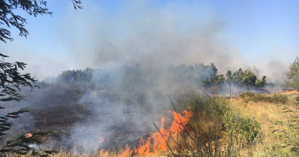 Incendio de pastizales