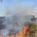 Incendio de pastizales
