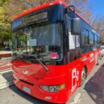 Talca 3