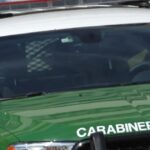 Violencia Curico y Molina