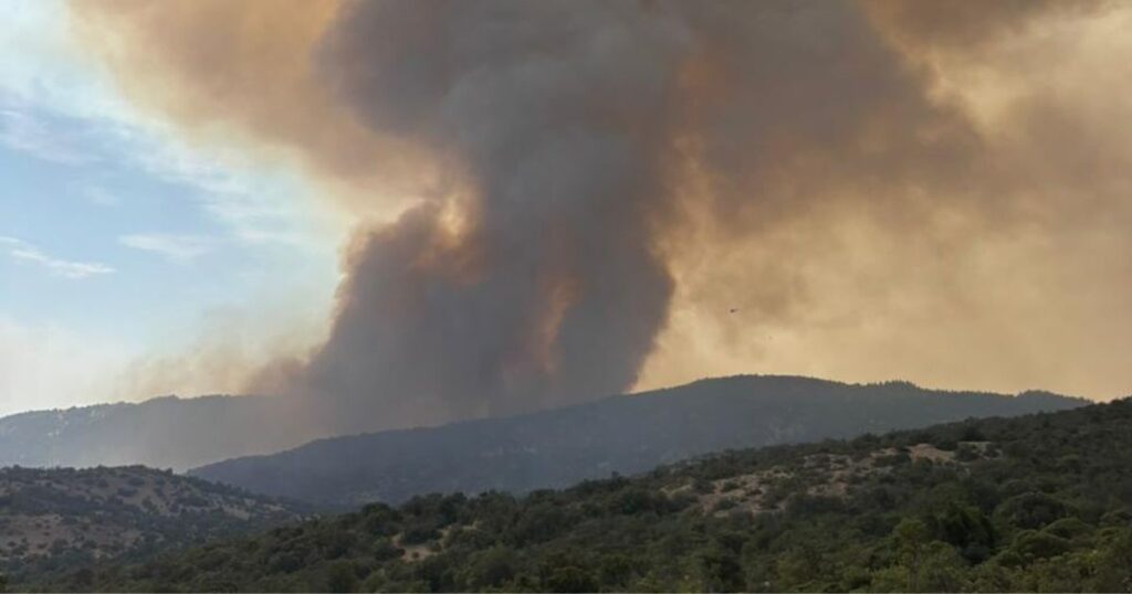 Incendio Forestal Lolol
