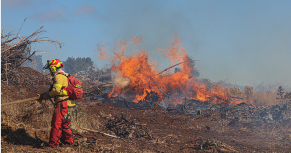 Incendios Forestales