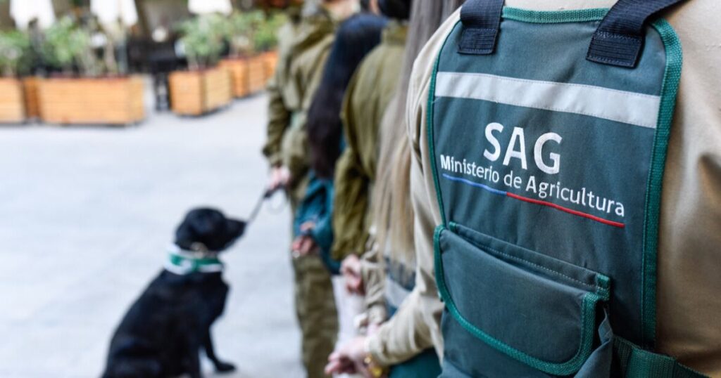 SAG 1