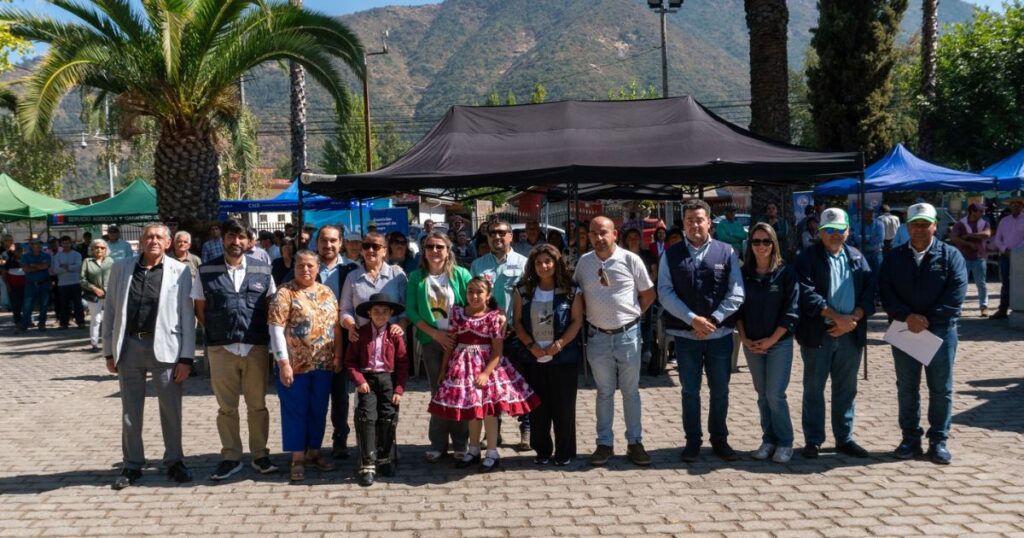 Feria del agro Rauco