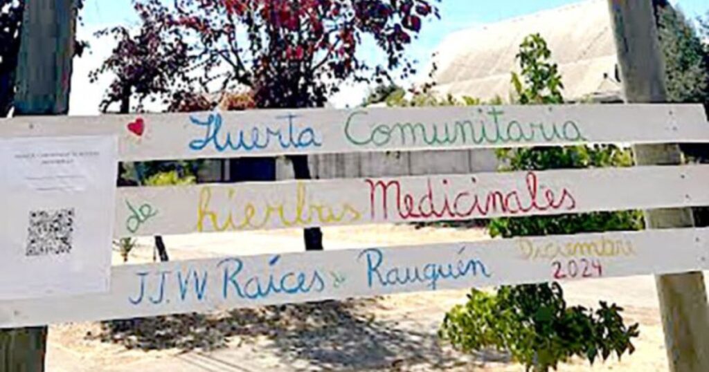 Huerta Rauquen