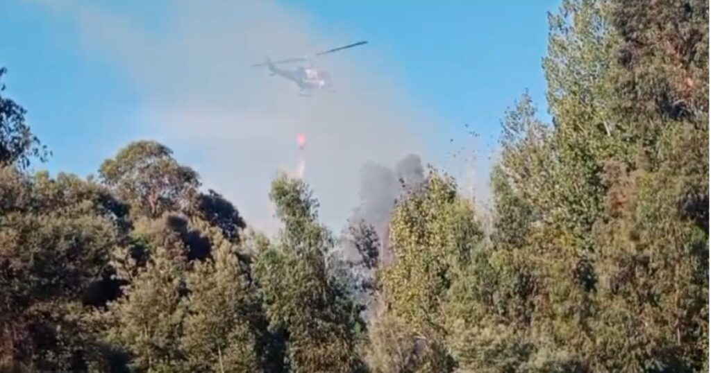 Incendio Jardin Botanico UTALCA