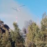 Incendio Jardin Botanico UTALCA