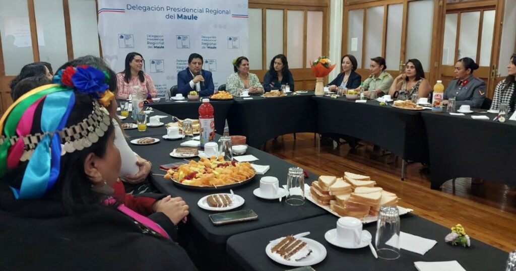 Seremi de Gobierno reafirma compromiso del Ejecutivo con las mujeres en el 8M 1 Seremi de gobierno 8m