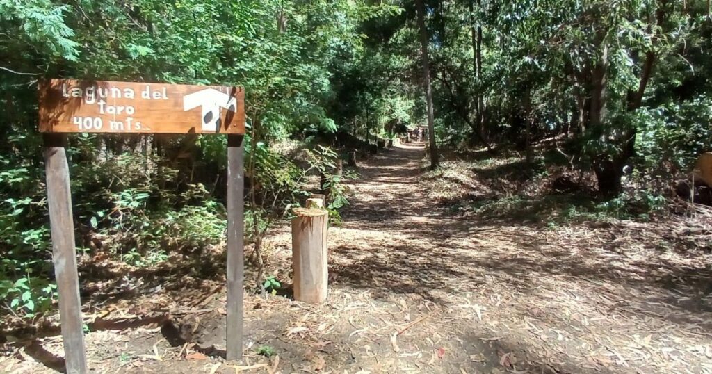 UCM Sustentable promueve el cuidado de los bosques en el Día Internacional de los Bosques 2025 1 UCM Sustentable