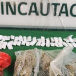 mujer embaraazada Talca
