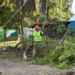 puntos criticos Molina