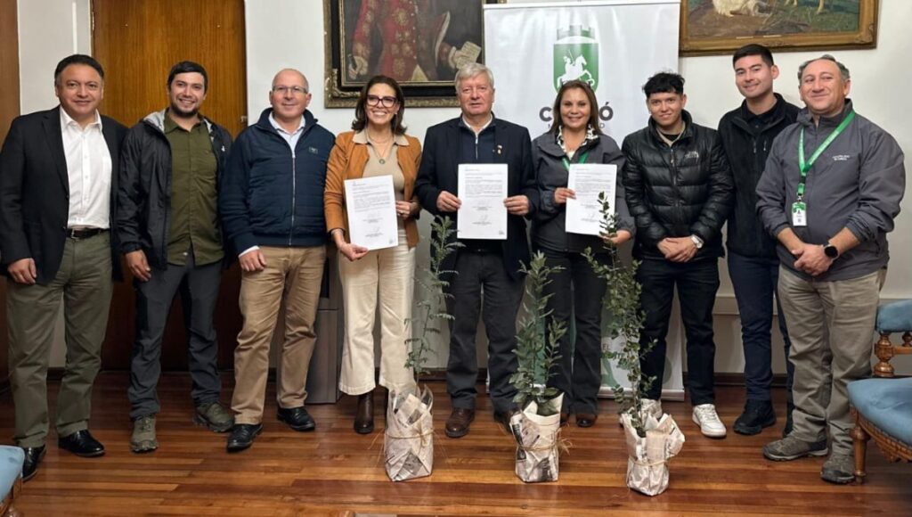 Más de mil árboles nativos serán plantados en el Cerro Carlos Condell de Curicó 1 Portada Noticias 16