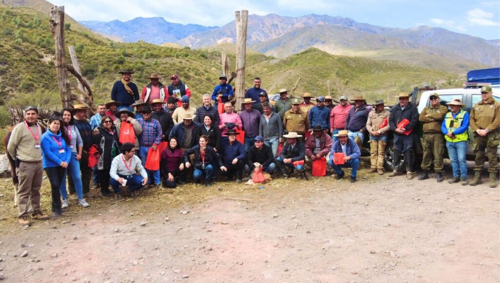 Romeral honra sus tradiciones con el Primer Campereo Cordillerano 1 Primer Campereo Cordillerano Romeral