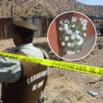 Tren de Aragua Cauquenes