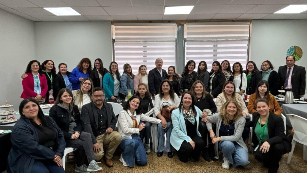 fondo concursable mujeres curicanas
