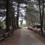 CONAF se suma al Dia de los Patrimonios 2025 con acceso gratuito a parques y reservas naturales