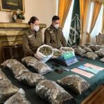 Desbaratan red de trafico de cannabis sativa en el Maule con incautacion historica de 22 kilos de droga