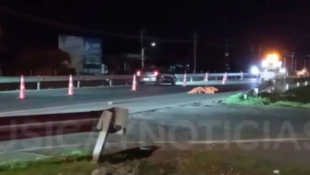 Fatal atropello en la Ruta 5 Sur frente a Romeral deja una persona fallecida