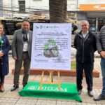 Municipalidad de Curico retira 500 neumaticos desde la via publica para su reciclaje