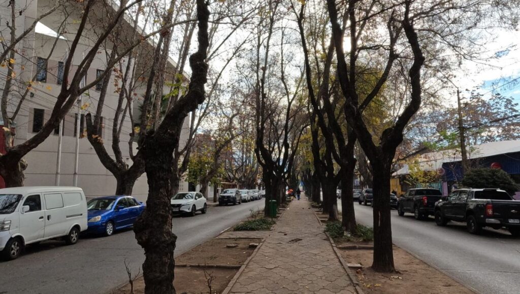 Talca relanza consulta ciudadana sobre royecto de Nueva Diagonal Isidoro del Solar