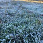 seis regiones enfrentaran heladas