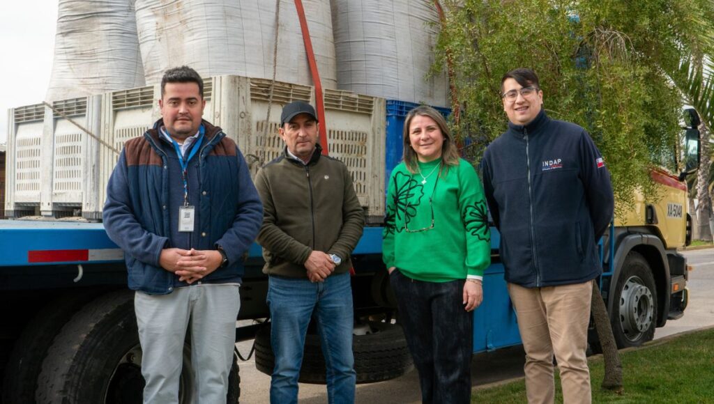 Agricultores de Rauco reciben 33 toneladas de compost gracias al programa Alianzas Productivas de INDAP