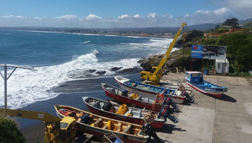 Diputado Alexis Sepúlveda llama al diálogo para recuperar la caleta de Pelluhue 1 Diputado Alexis Sepulveda llama al dialogo para recuperar la caleta de Pelluhue