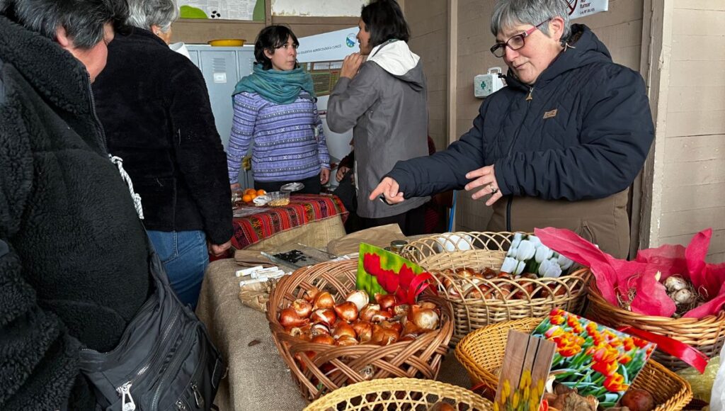 Exitoso intercambio de semillas en la Granja Agroecologica Municipal de Curico