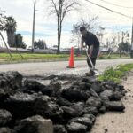 Imagen de WhatsApp 2025 07 29 a las 15.36.07 87a7db99