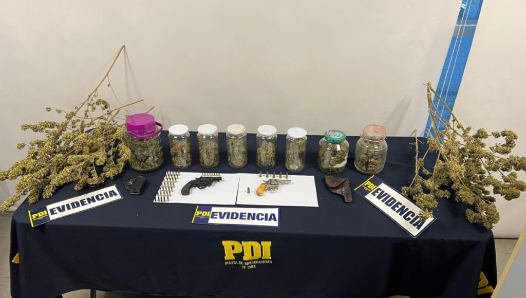 Imputado fue formalizado en Linares por cultivo de marihuana indoor y tenencia ilegal de armas 1 Imputado fue formalizado en Linares por cultivo de marihuana indoor y tenencia ilegal de armas