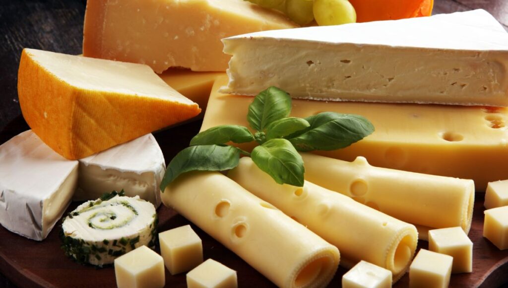 Talca recibe la tercera version del Mercado de Quesos con productos gourmet y musica en vivo