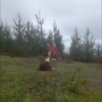 536282408 1246595500818950 7315280449244881066 n