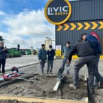 Curso en Livic